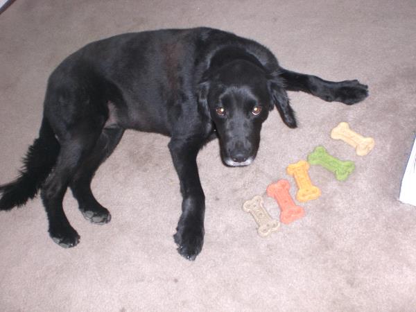 /Images/uploads/Humane Society of Utah/HSUCalendar/entries/953thumb.jpg